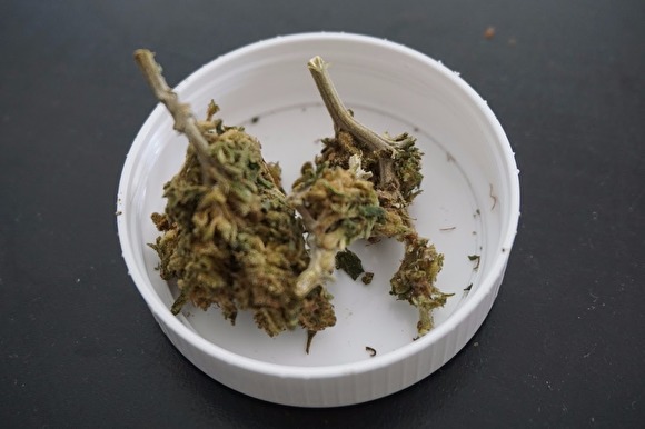 «Коммерсантъ» рассказал о вариантах смягчения 228-й «наркотической» статьи УК РФ