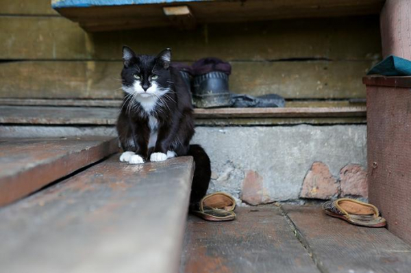 Как погибают брошенные на Урале железнодорожные деревни и почему их не расселяют