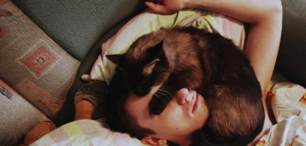 Разгадана тайна качественного сна