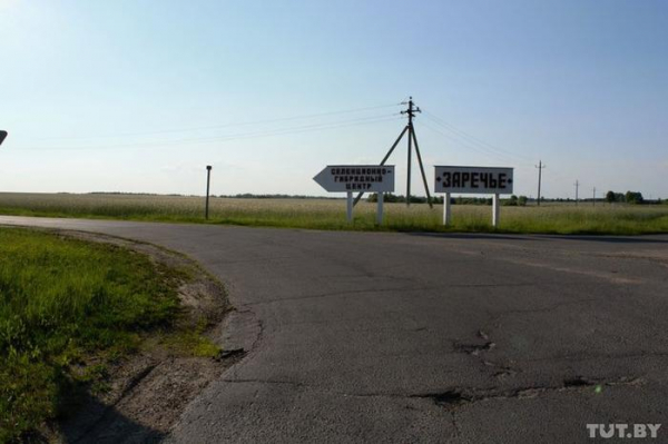 &laquo;Ложатся и умирают&raquo;. В Беларуси дохнут свиньи &mdash; от голода