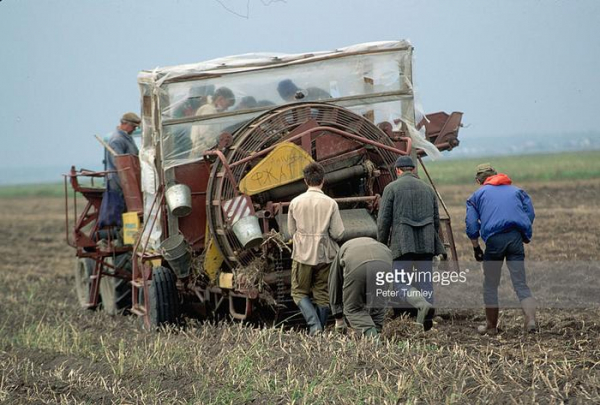 Миф про «натуральные советские продукты»