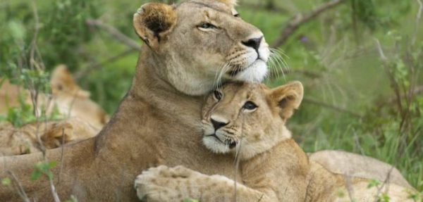 Врачи рассказали о пользе объятий для организма