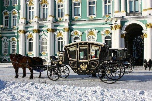 Психам не место за рулем!