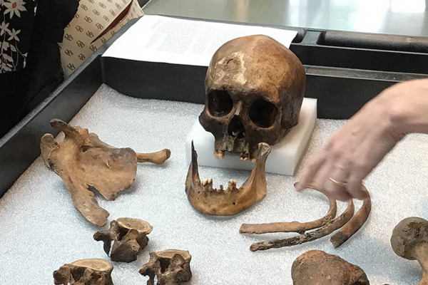 Фермер, который пил кровь