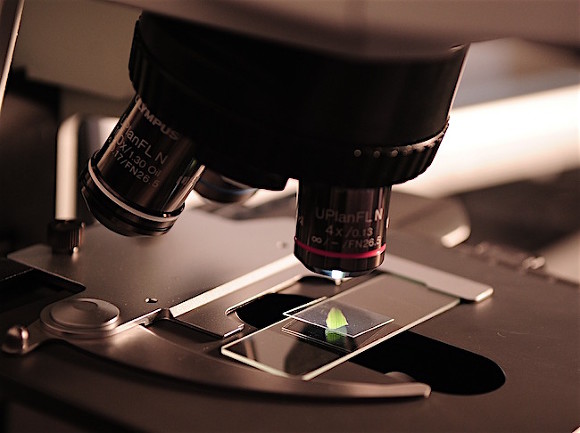 Наука — пространство свободы