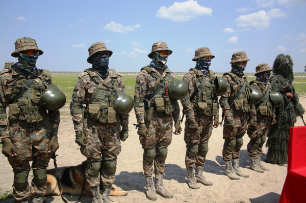 Военно-морской флот в степях Монголии