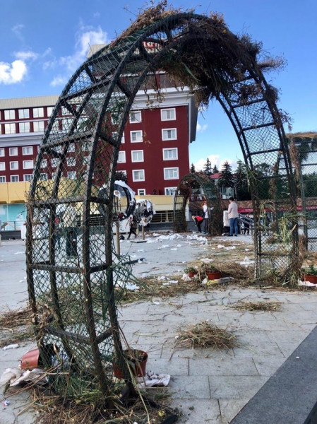 Зачем люди съели бедного слона?