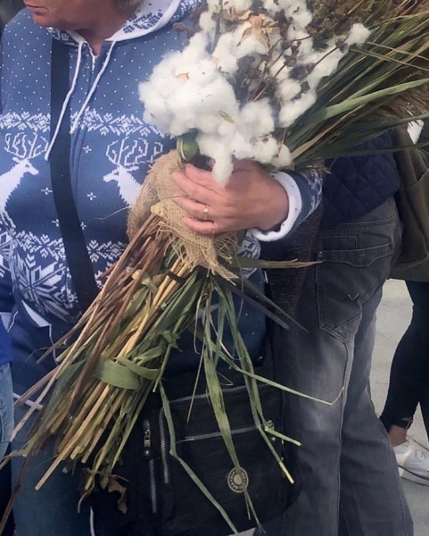 Зачем люди съели бедного слона?