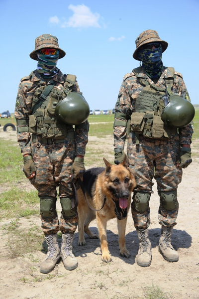 Военно-морской флот в степях Монголии