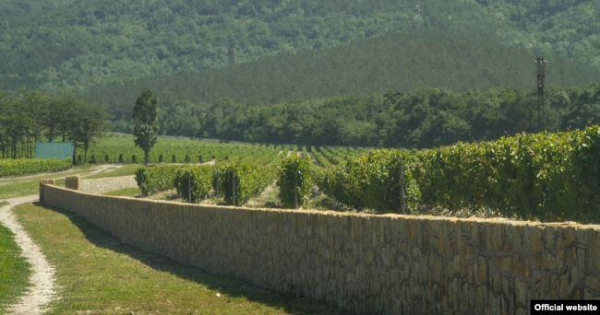 Замок бывшего министра. Винный бизнес семьи Александра Ткачева