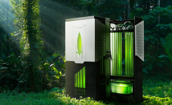 Биореактор на водорослях поглощает CO2 эффективней деревьев