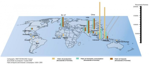Пальмовое масло. Польза и вред