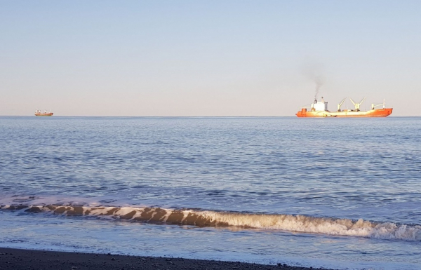 По Севморпути впервые доставили минудобрения: товар отправили в китайские порты