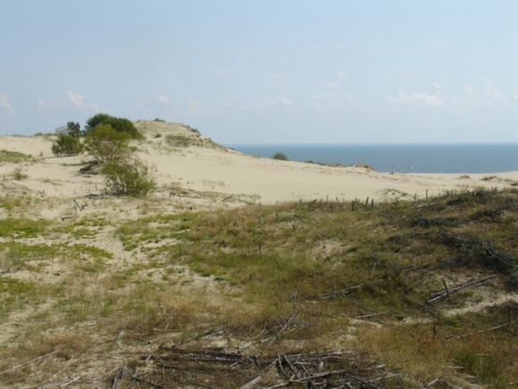 Калининградцы перекопали Куршскую косу в поисках клада от &laquo;Орла и решки&raquo; и получили штра