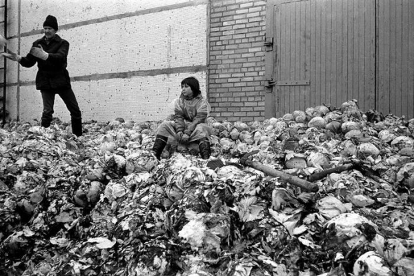 Позорные фото советского капустного рабства