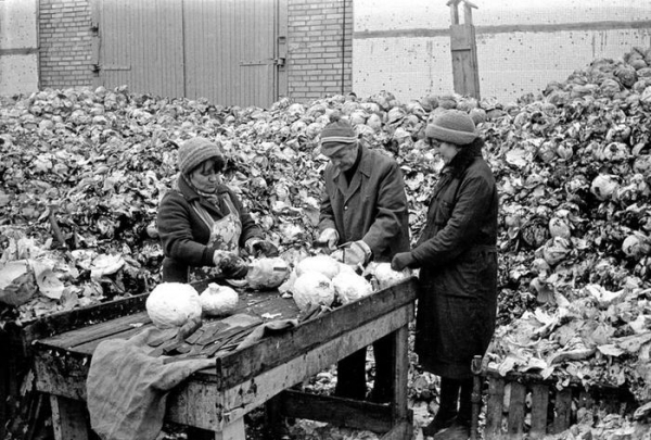 Позорные фото советского капустного рабства