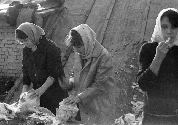 Позорные фото советского капустного рабства