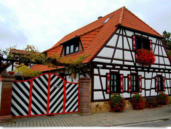 Доктор Розанов о Латвии: братья-европейцы гадят прямо на улицах