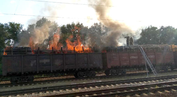 В Сибири началась настоящая партизанская война?