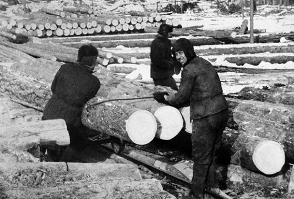 «Это не ложь, это особая правда»