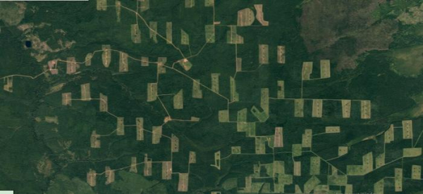 В Сибири началась настоящая партизанская война?