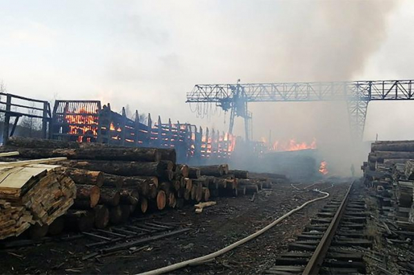 В Сибири началась настоящая партизанская война?