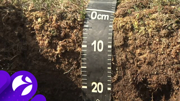 Минвостокразвития России организует систему мониторинга вечной мерзлоты