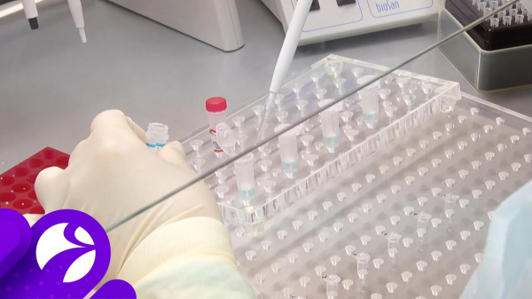 Легкую форму COVID-19 не будут учитывать в статистике