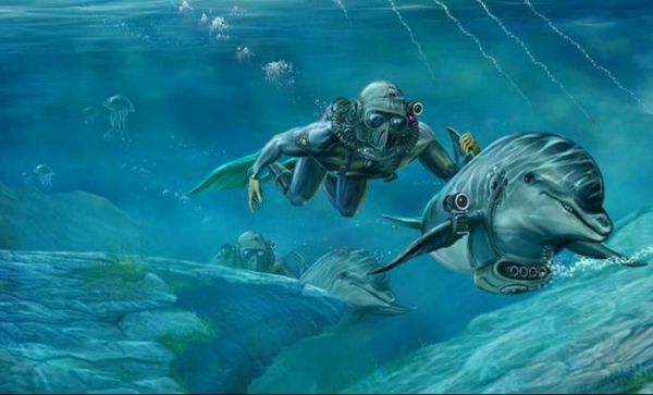 Forbes: Русские перебросили в Сирию боевых дельфинов