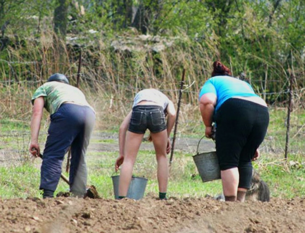 Дачную амнистию предложили расширить и продлить на пять лет