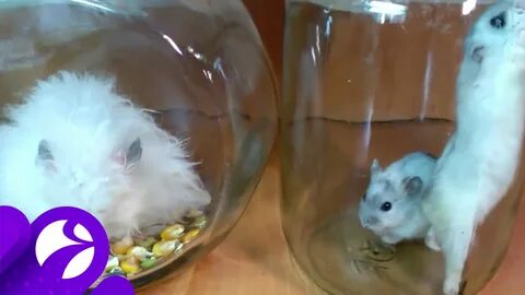 Гонконгские учёные проверили, насколько маска защищает от коронавируса