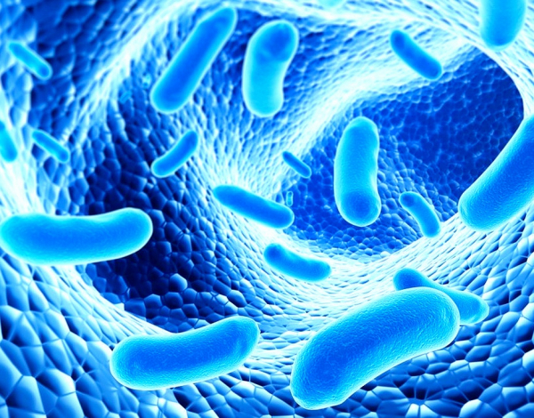 Ученые нашли в вечной мерзлоте бактерии, поедающие пластик