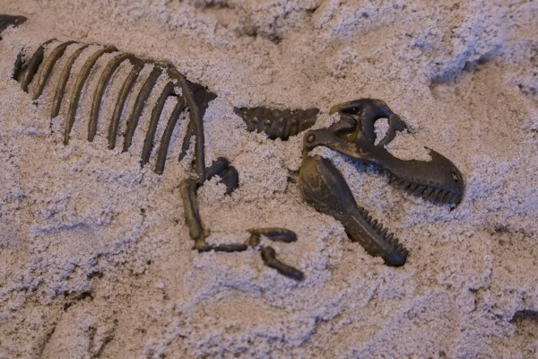 Предпринимателей в России ждет судьба динозавров