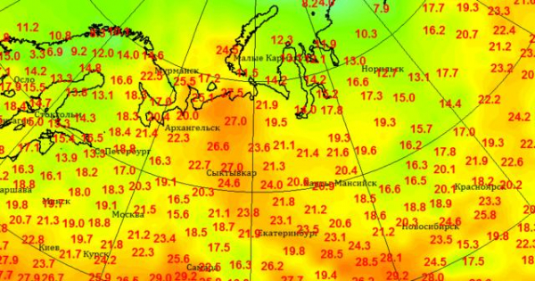 Рекордная урожайность и курорты Баренцева моря готовятся к купальному сезону