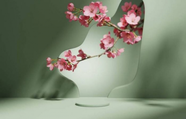 Что нельзя делать по утрам, чтобы сохранить молодость и здоровье на долгие годы