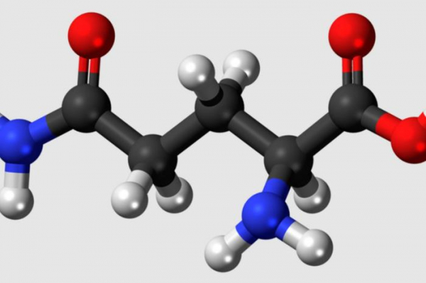 Глютамин: что это, для чего, как пить 