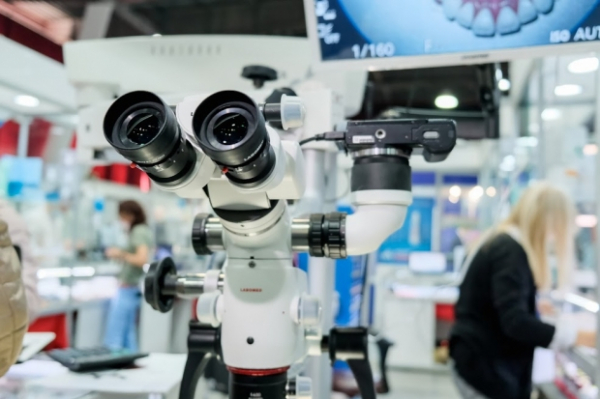 Ученые рассказали, что морские водоросли улучшают работу почек