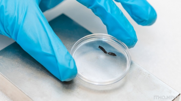 Российские специалисты создали мягких роботов, удаляющих тромбы из сосудов