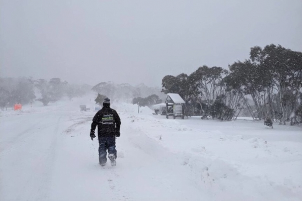 Из-за снежных бурь в Австралию пришла рекордно холодная зима
